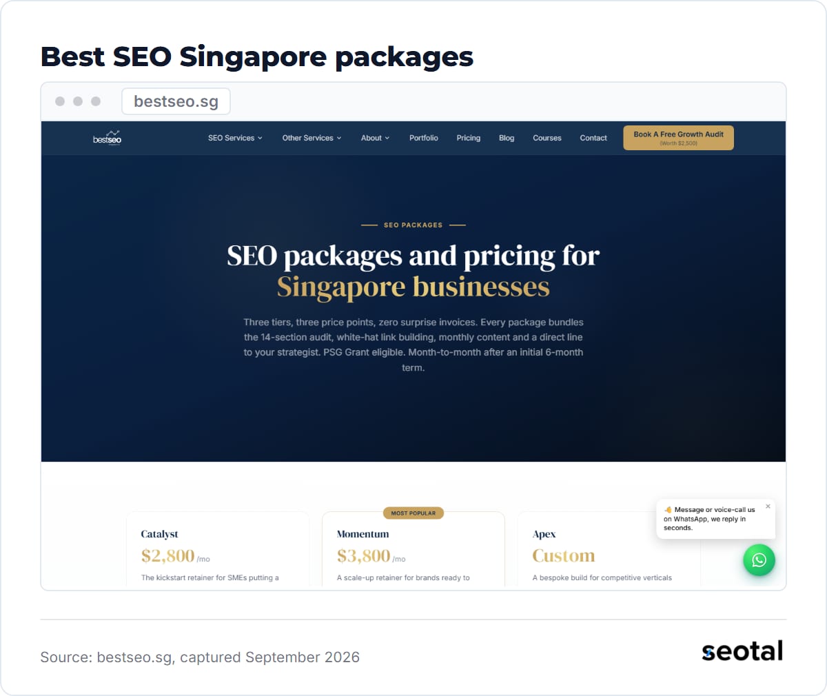 Best SEO Singapore packages page headline SEO packages and pricing for Singapore businesses above the Catalyst, Momentum and Apex tiers